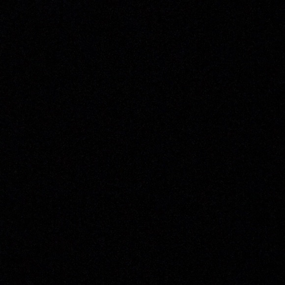 Meet your Posher, Logan - Picture 1 of 1